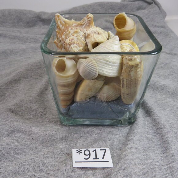 REAL Sea Shells in a Glass Square Vase and sand #2 - Picture 1 of 10